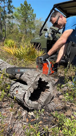 NEOTEC 58cc/62cc/68cc Gas Powered Chainsaw 2-Cycle Handheld Petrol Gasoline Chain Saw for Tree Felling Forestry Logging with Gloves & Accessories Backyard Storm Cleanup