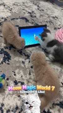 My Kittens Thought the Tablet Fish Was Real 😂🐟😻 #shorts