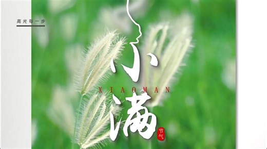 阳光渐重，麦香渐浓。和泰兰尼斯一起漫步田间，听麦浪讲述季节的蜕变吧~
