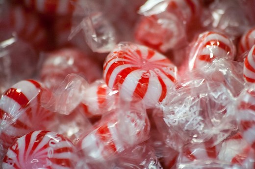 Can Peppermint Improve Reaction Times? | Science Project