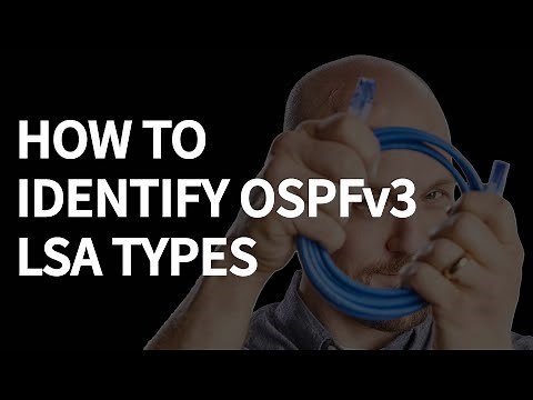 OSPFv2 vs OSPFv3: How They Handle LSAs