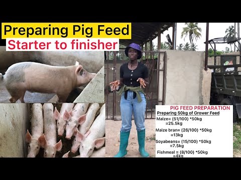 How to Mix Pig Feed| Kg of each ingredient for Starter, Grower, Finisher and Lactating Pig Feed.