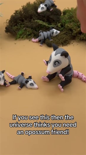 We don’t make the rules. #oppossum #cutetoys #americanmade #possum #possumsoftiktok