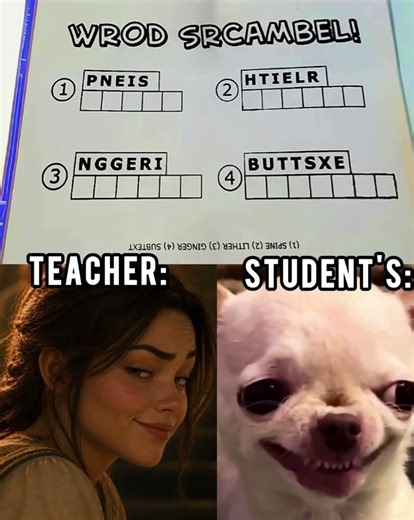 Student vs teacher #memes #funny