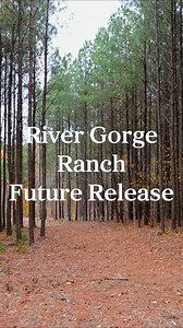 Follow along the video for a tour of an upcoming lot in the Sequoyah Bluffs section of River Gorge Ranch! Use the link below to schedule your personal property tour https://www.rivergorge.com/weekends/discovery?rtm_fbp_rgr=1 | River Gorge Ranch