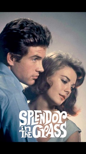 #fyp #foryou #moviereview Splendor in the Grass (1961)