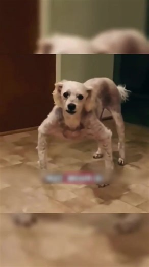 ဆာရီးသိပ်စိတ်အားထုတ်ဖို့ကောင်းတဲ့ အကြောင်း အခြားသောကောင်လေးများ