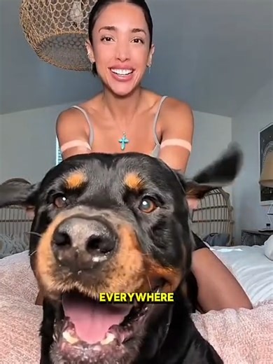 Creepy Dog Story: Ryan Installs Hidden Camera