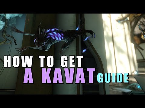 [Warframe] How to get a Kavat Companion (Guide)