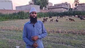 56K views · 5.5K reactions | How To Start New Farmer Goat Farming Business | Goat Farming Business Ideas Tips | Goat Farming Information And Discussions | Open Farming 2.0 #Goat #GoatFarming #OpenFarming2.0 | Open Farming 2.0 | Facebook