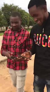 3K views · 305 reactions | What is your problem it’s not your business 藍藍藍 ba fwenya comedy Bana Muzanyina | Muzanyina | Facebook