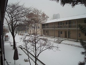 Camp Coiner - Alchetron, The Free Social Encyclopedia