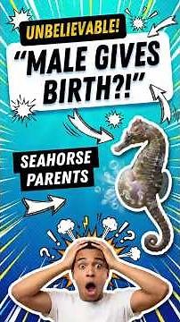 How Male Seahorses Carry and Care for Their Young