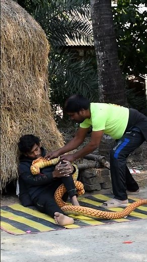 Epic King Cobra Snake Prank on Grandpa – Try Not to Laugh! 2026 😂 Emtiaz bhuyan ! #shorts #snake