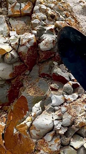 we found Gold nuggets buried | #gold #goldnuggets #goldstone #shorts #metaldetecting