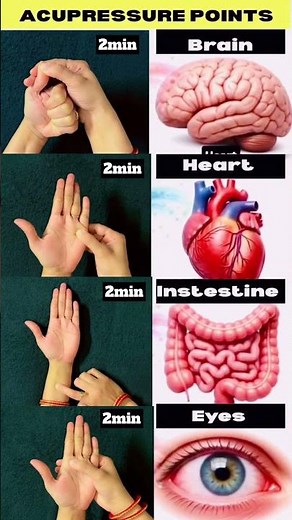 2 Minute Acupressure Points for Brain, Heart, Eyes & Intestine | Daily Hand Massage