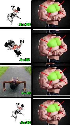 Dumbbell Chest Workout for a Bigger & Stronger Chest 💪🔥#nobatidao #chest
