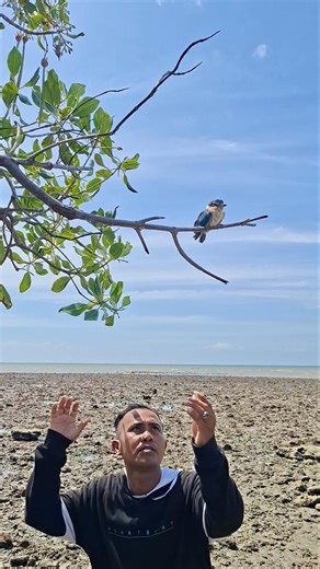 catch on a tree branch#shortviral