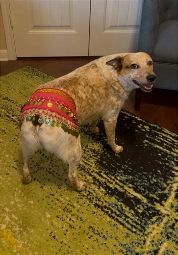 Sydney Showcases Her Unique Coin Skirt