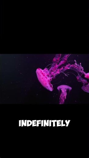 The Immortal Jellyfish Is Real 🤯