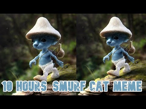 10 hours Smurf Cat MEME