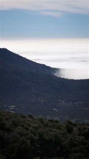Tule Fog in Fresno County, CA