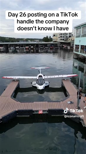 ICON aircraft | Pham Hoang Anh