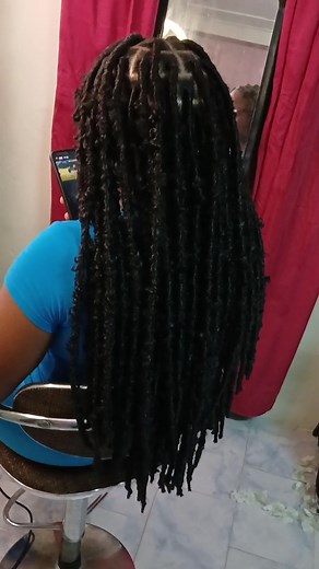 Braided Locks Hairstyle Tutorial