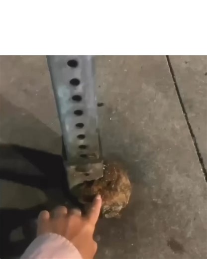 No matter how much man intervenes, nature will always find a way to blossom... | Positive