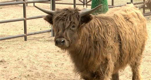 Heritage Farms at ABQ BioPark reopens after two years