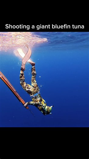 Hunting the giants of the deep | deep sea