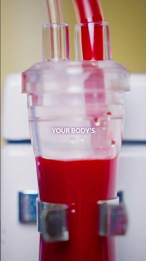 How EBOO/F Supports Deep Detox and Recovery