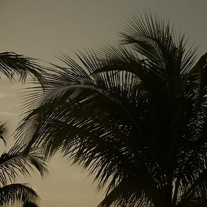 THE LIMITED EDITION COLLECTION SS2020 | Character and personality in double breasted suits and the introduction of herringbone patterns for SS 2020. Discover it: mdutti.me/limitededition | Massimo Dutti