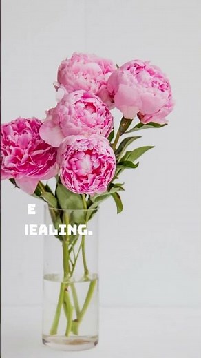 Symbolism of Peonies: Unveiling the Spiritual Significance Behind this Beloved Flower