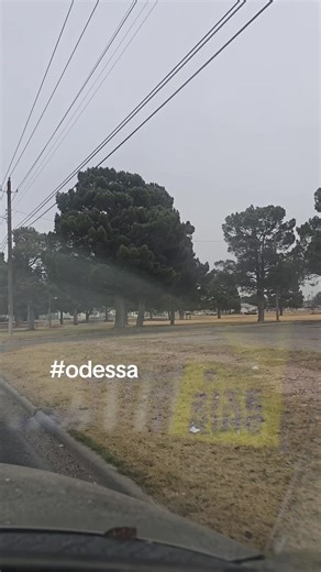 Exciting Scavenger Hunt in Odessa, Texas