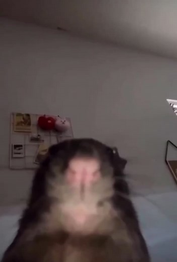 Shawtys Like a Melody: Singing Na Na Na