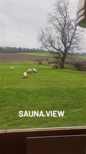 Observing Tranquil Fields and Sheep Behavior
