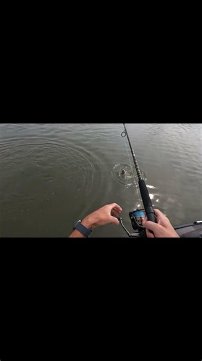 Drift Fishing For Catfish!