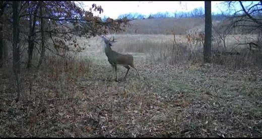 Roger Raglin (@1320roger)’s videos with original sound - Roger Raglin