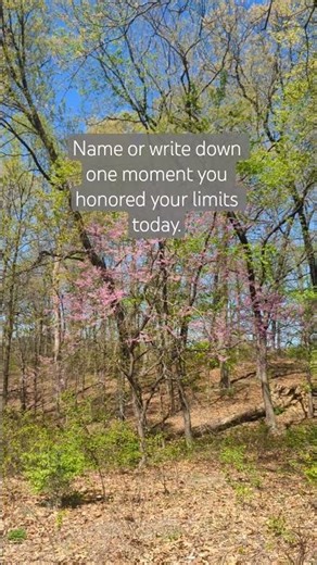 Reflection: Noticing When You Kept Yourself Safe! 🌱 Like & Sub for more healing #MicroMovesMatter