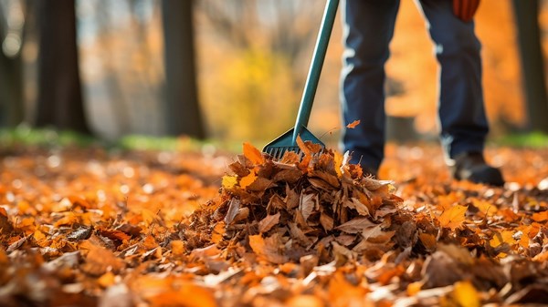 Kettering gives update on 11-district leaf collection project