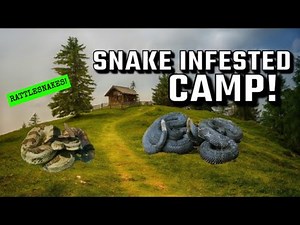 SNAKE INFESTED CAMP! - Venomous Snakes INSIDE of CABIN!