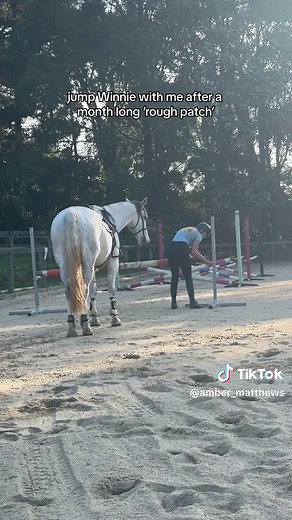 Overcoming Obstacles: Riding Confidence and Effectiveness