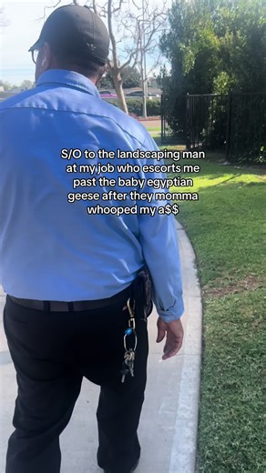 Do Geese Sense Fear? Exploring Bird Behavior