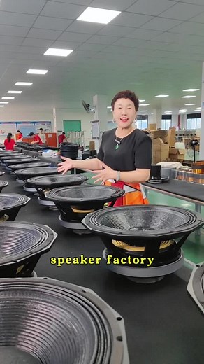 Subwoofer Speaker Factory: Production of 18 Inch Subwoofer