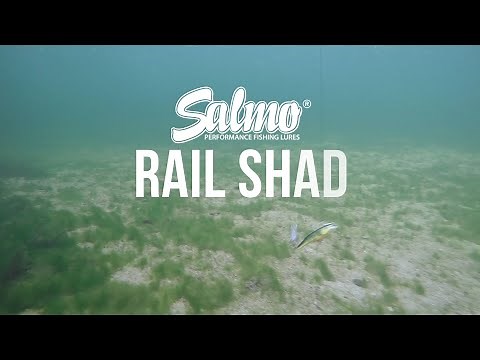 Salmo Rail Shad Underwater Action