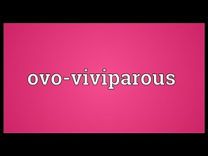Ovo-viviparous Meaning