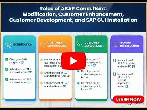 ABAP Consultant Roles: Modification, Enhancements & Customer Development | SAP ABAP Fundamentals #6