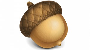 Acorn 4 1 1 – Bitmap Image Editor