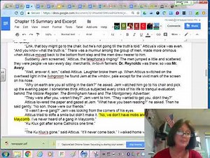 Chapter 15 To Kill a Mockingbird